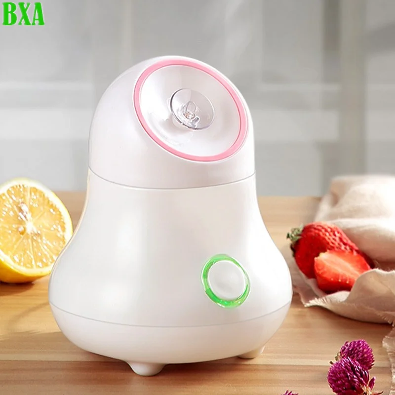 Facial Steamer Nano - Obst- und Gemüse-Gesichtsdampfer, Nano-Ionen-Gesichtsbefeuchter, Nebelsprüher, heißer